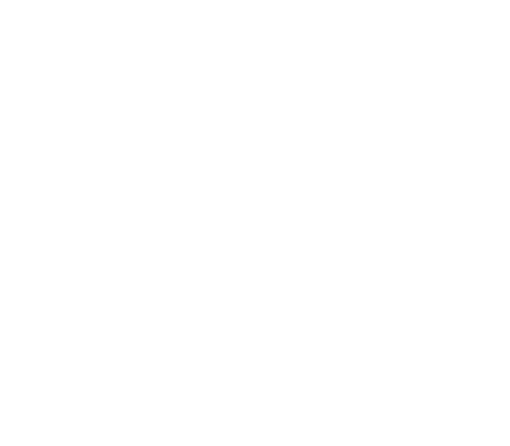 International Trucks logo